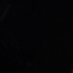 Meet your Posher, Eva